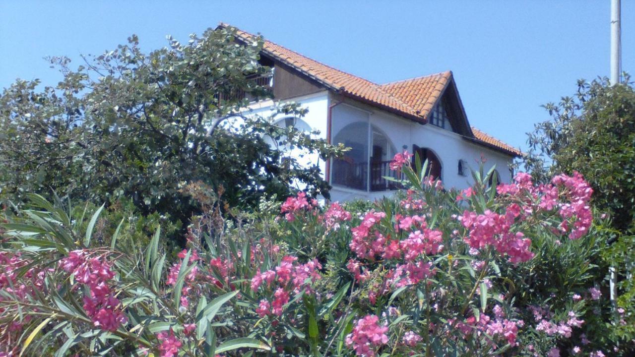 Villa Iris Неа-Врасна Екстер'єр фото